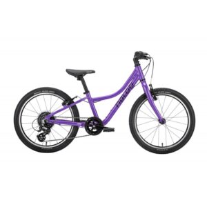 Naloo Chameleon 20" Purple
